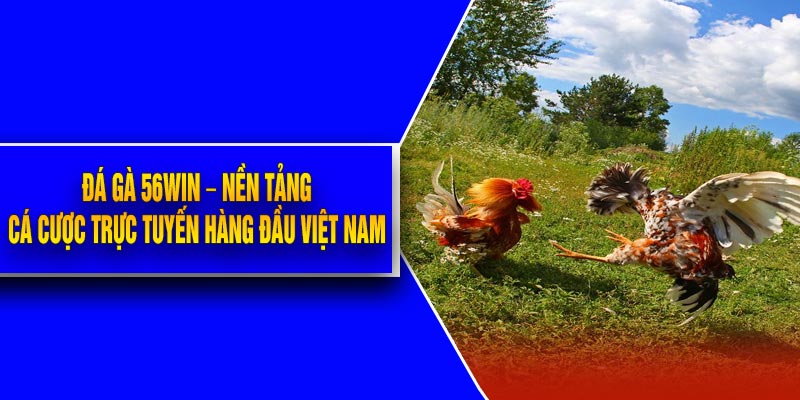 Đá Gà 56Win – Nền Tảng Cá Cược Trực Tuyến Hàng Đầu Việt Nam